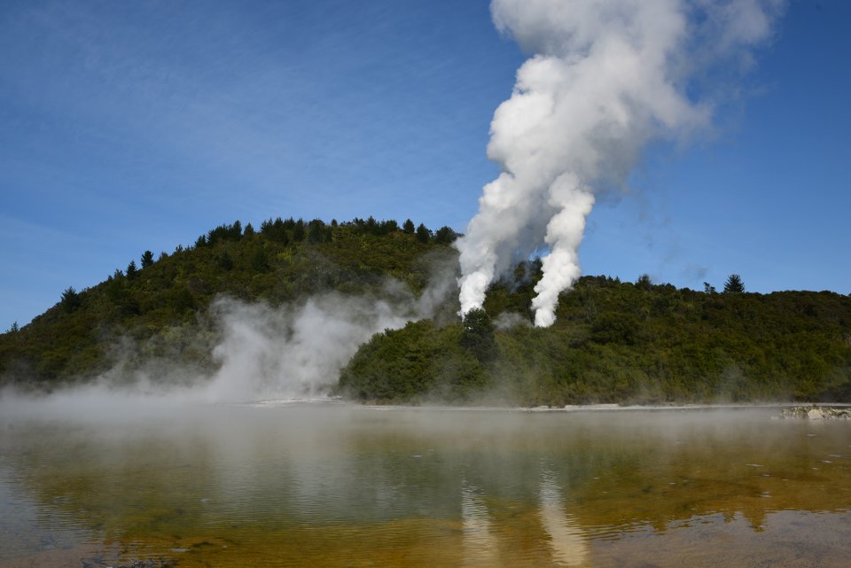 3. Steam